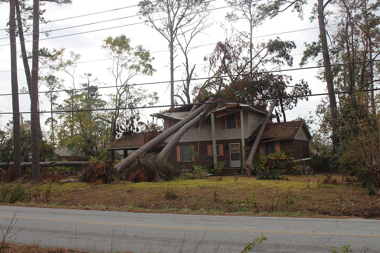 Large pine trees fallen onto a house — storm damage requiring crane removal